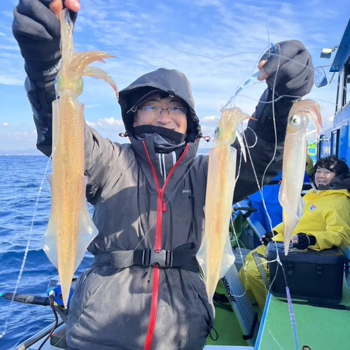 ヤリイカの釣果