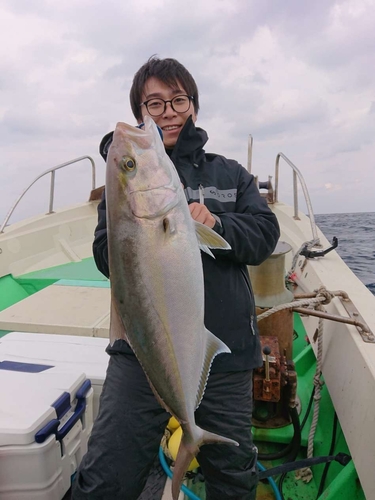 カンパチの釣果