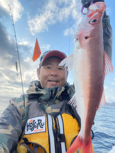 ハチビキの釣果