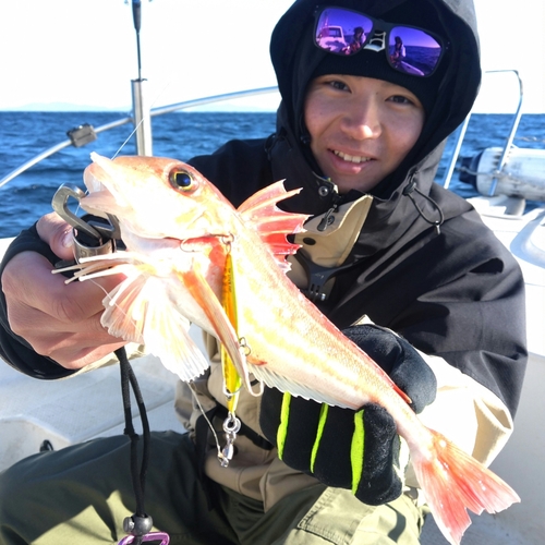 カナガシラの釣果