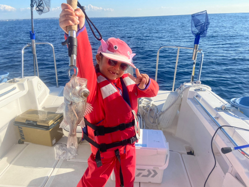 オオメハタの釣果