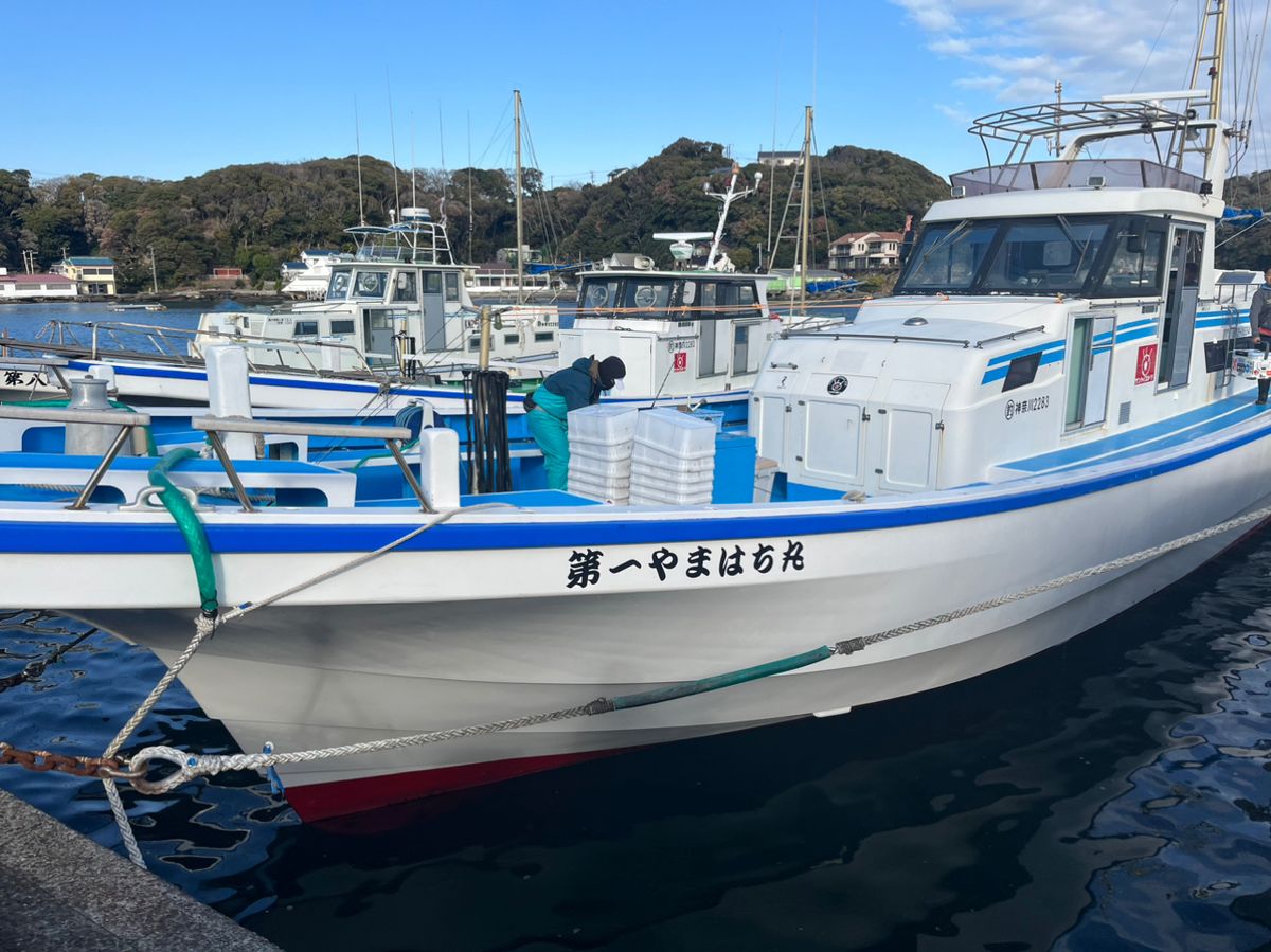 イカ釣りミネキチさんの釣果 3枚目の画像