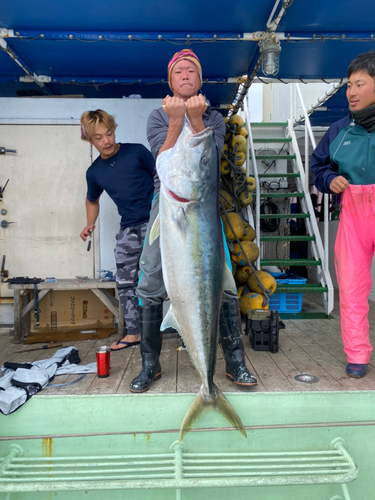 ヒラマサの釣果