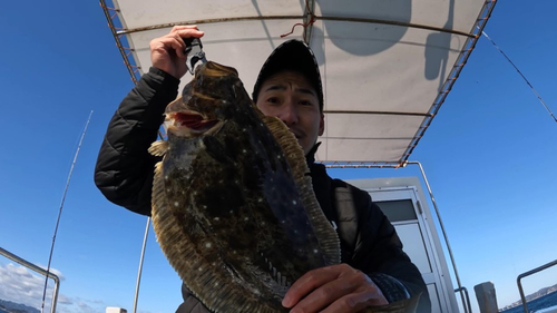 ヒラメの釣果