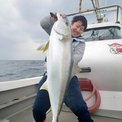 ヒラマサの釣果