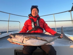 ビンチョウマグロの釣果