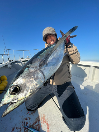 ビンチョウマグロの釣果