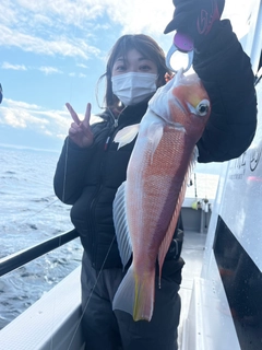 アマダイの釣果