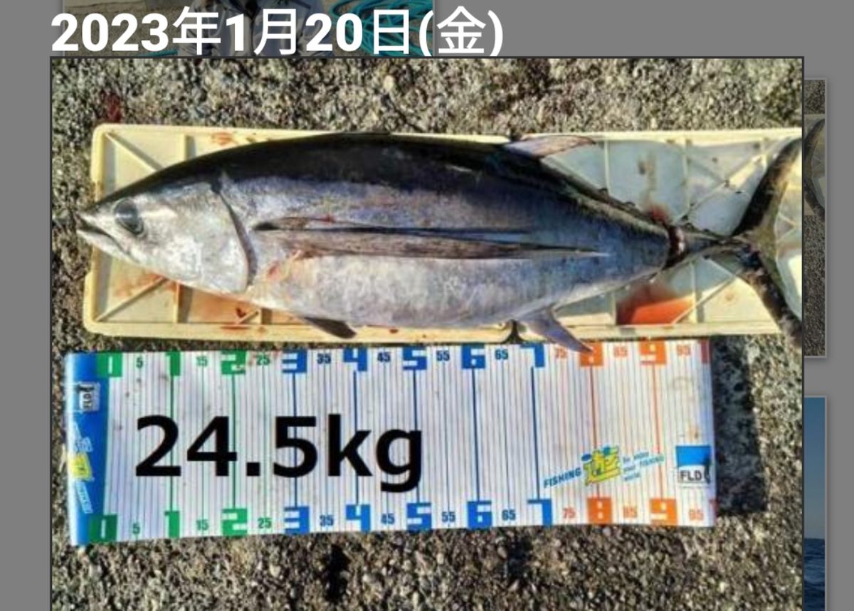 ちためっつさんの釣果 2枚目の画像