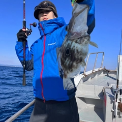 マトウダイの釣果