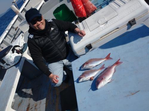 マダイの釣果