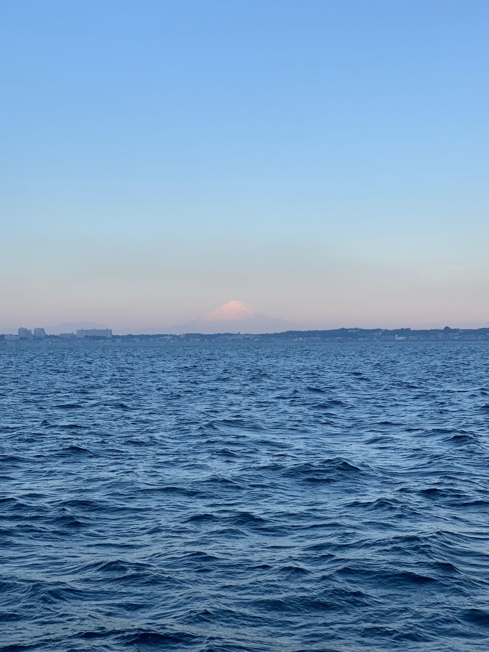 真鯛28号船さんの釣果 2枚目の画像