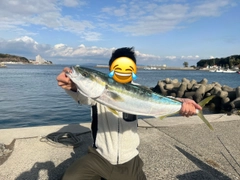 ワラサの釣果