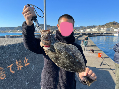 ヒラメの釣果