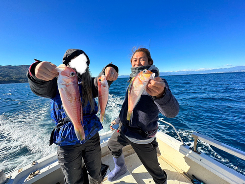 アマダイの釣果