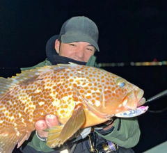 アコウの釣果