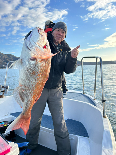 マダイの釣果