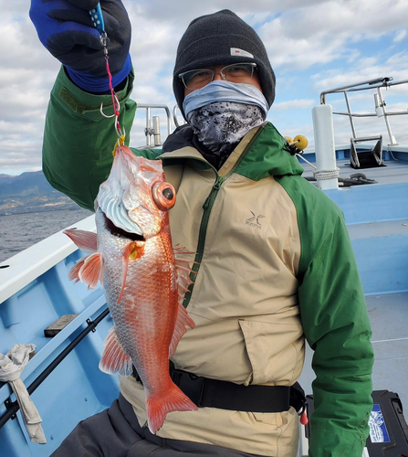 アカムツの釣果