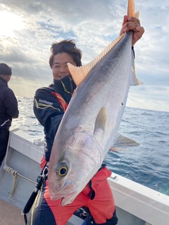 カンパチの釣果