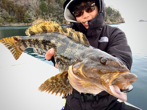 アイナメの釣果