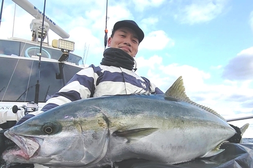 ヒラマサの釣果