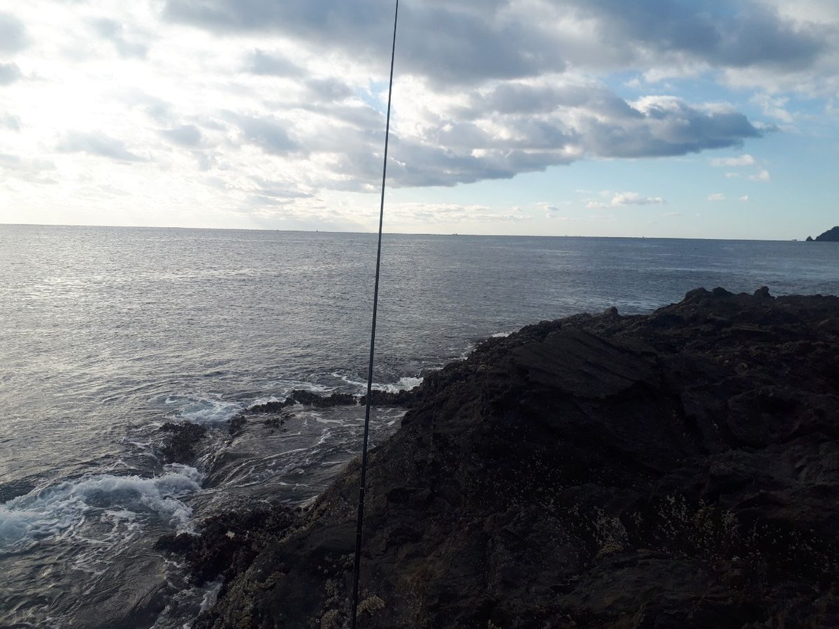 友っちさんの釣果 2枚目の画像