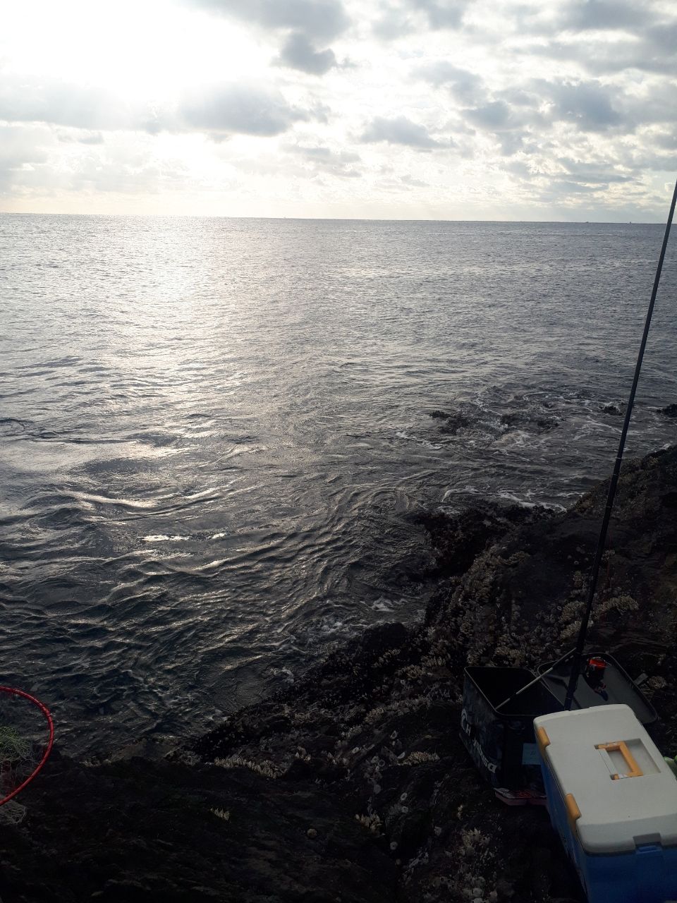 友っちさんの釣果 3枚目の画像