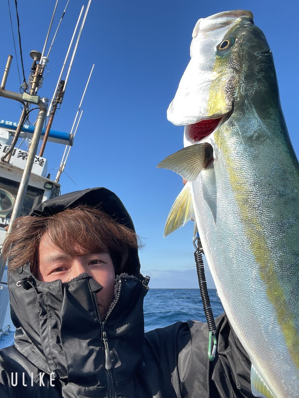 あたるんさんの釣果 2枚目の画像