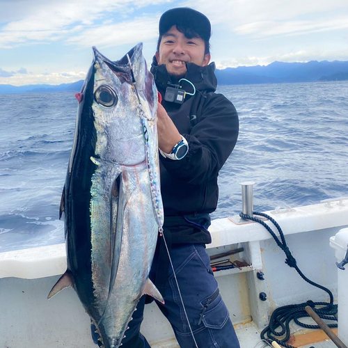 ビンチョウマグロの釣果