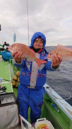 マダイの釣果