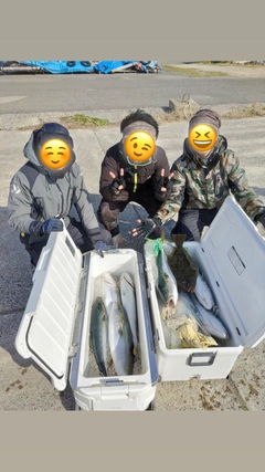 ブリの釣果