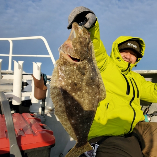 ヒラメの釣果