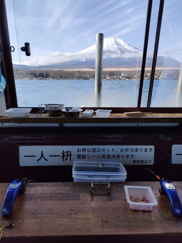 ワカサギの釣果