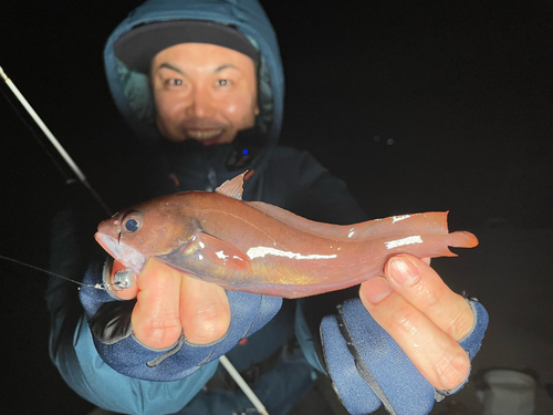 ドンコの釣果