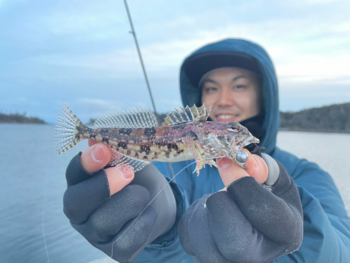 アサヒアナハゼの釣果