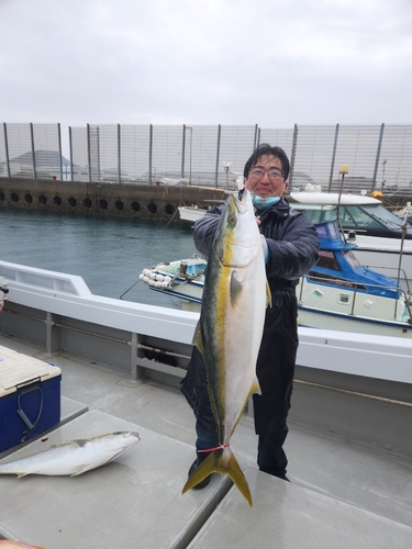 ブリの釣果