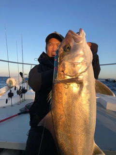 カンパチの釣果