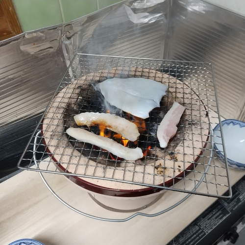 ヤリイカの釣果