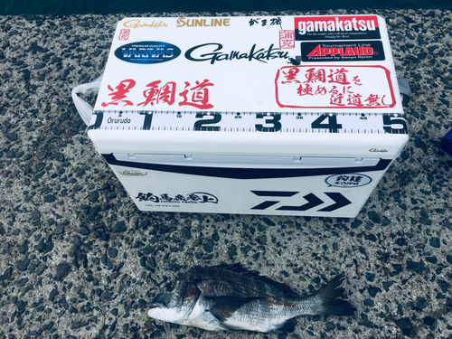 釣果