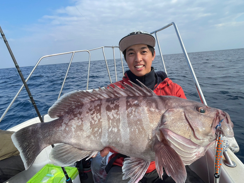 マハタの釣果