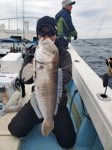 シロアマダイの釣果