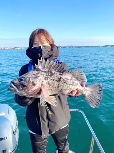 クロソイの釣果