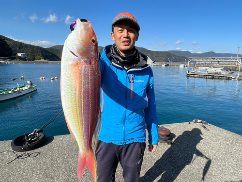 イトヨリダイの釣果