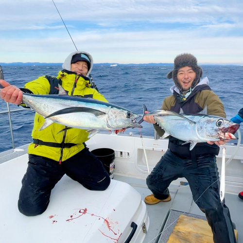 ビンチョウマグロの釣果