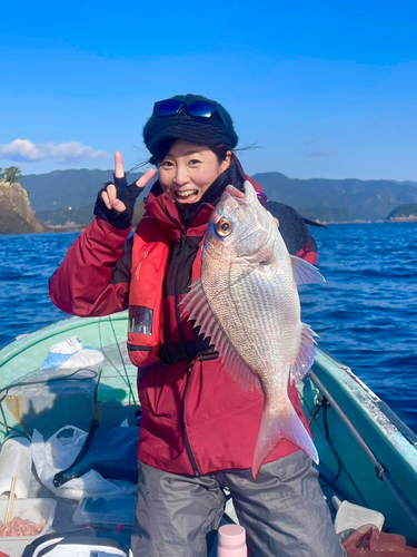 マダイの釣果