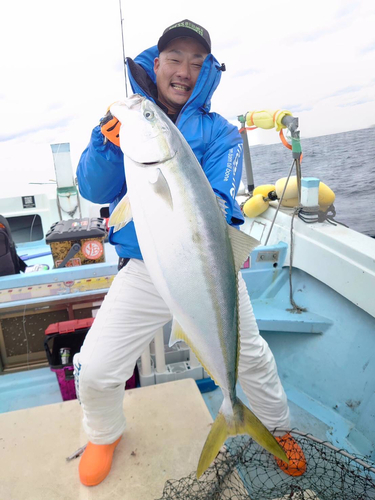 ブリの釣果