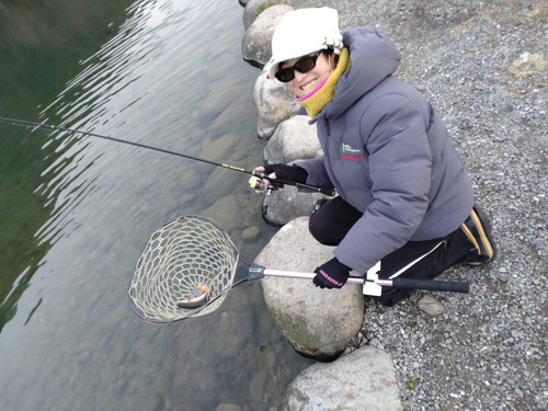 ニジマスの釣果