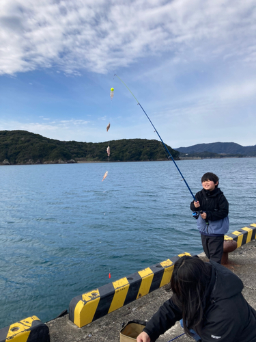 ネンブツダイの釣果