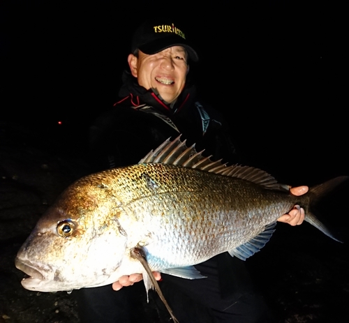 タイの釣果