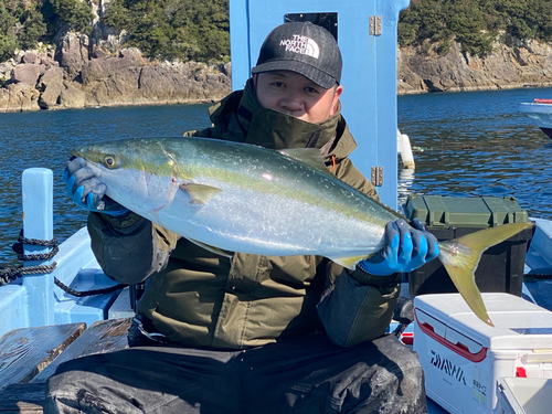 ブリの釣果